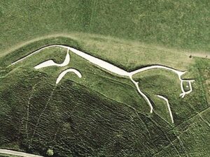 White horse
