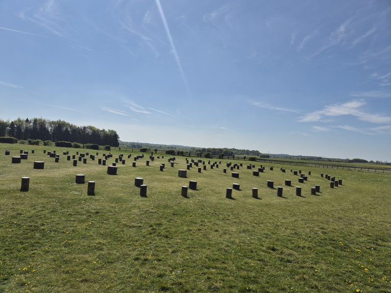 Woodhenge