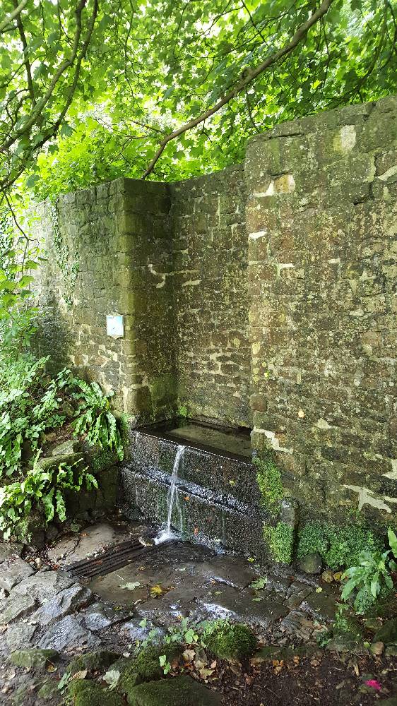 St. Aldhelm’s Well aka Doulting Well