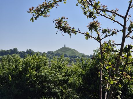 Wearyall HIll and Glastonbury Tor